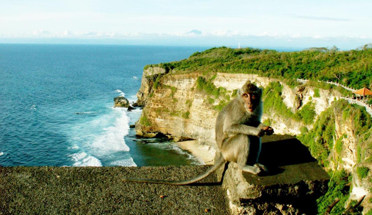 Hakuna Matata Bali Villas Uluwatu Buitenkant foto